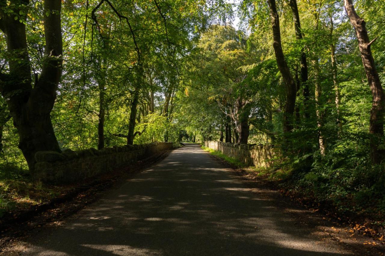 Millbrae Lodges Belfast Esterno foto